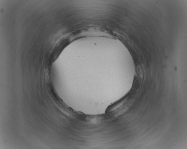 X0000078300564200612011837