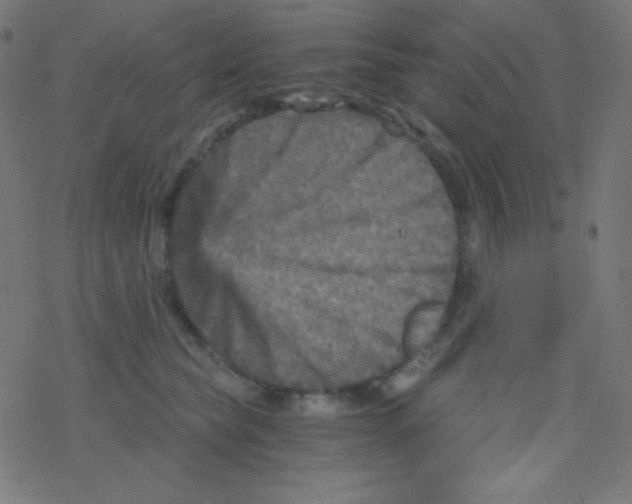 X0000078300565200612011837