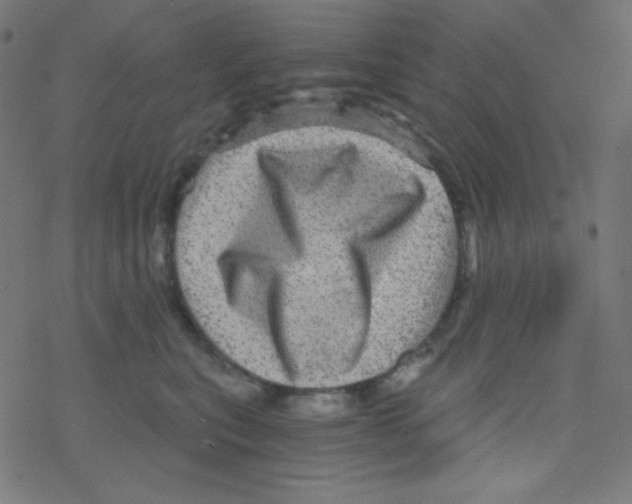 X0000078300567200612011837