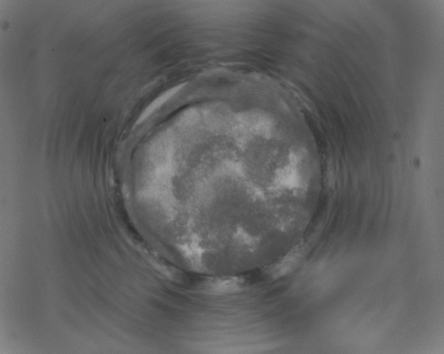 X0000078300569200612011837