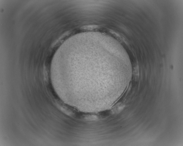 X0000078300572200612011837