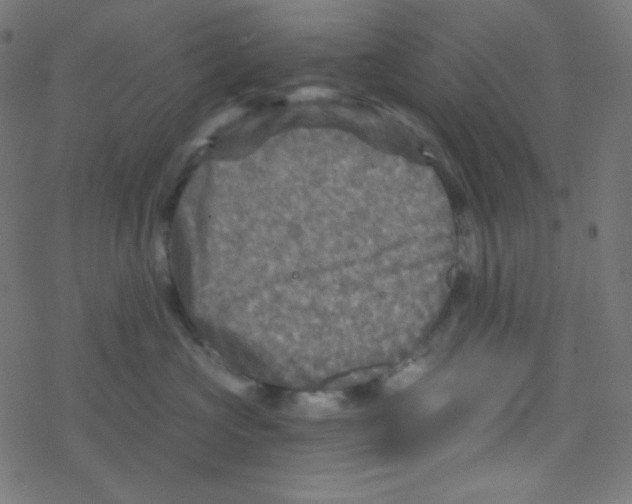 X0000078300573200612011837