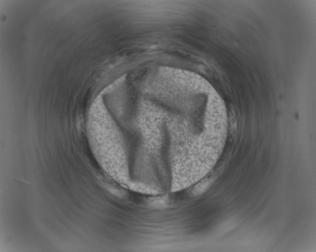 X0000078300574200612011837