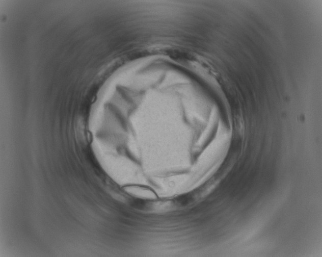 X0000078300575200612011837