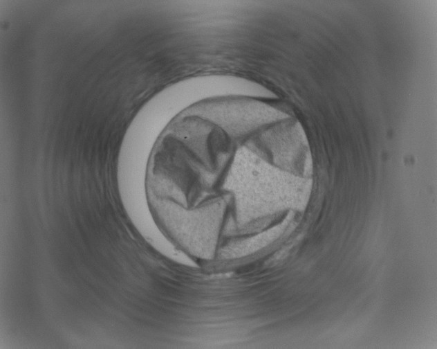 X0000078300576200612011837