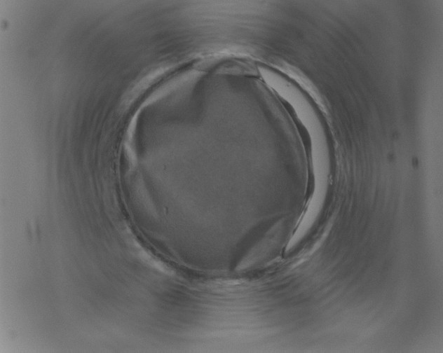 X0000078300577200612011837