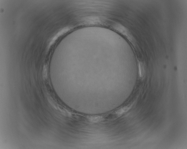 X0000078300579200612011837