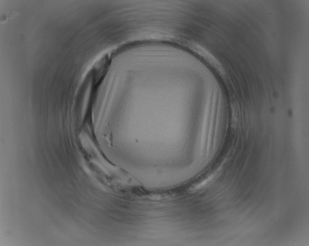 X0000078300580200612011837