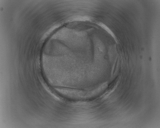 X0000078300581200612011837