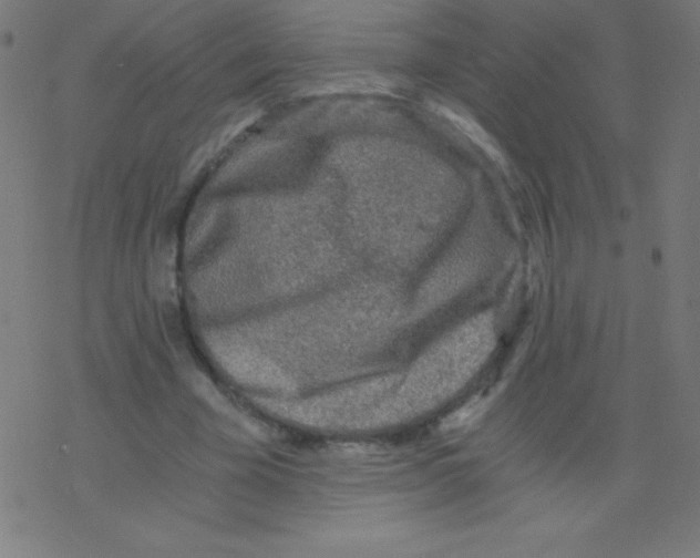 X0000078300585200612011837