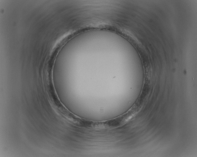 X0000078300587200612011837