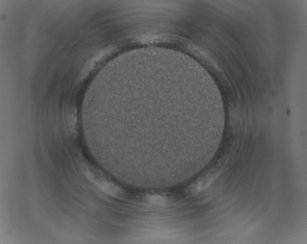 X0000078300592200612011836