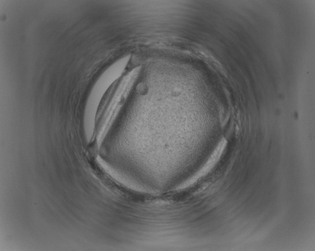 X0000078300593200612011836