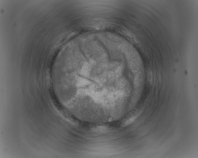 X0000078300594200612011836