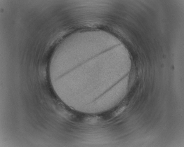 X0000078300595200612011836