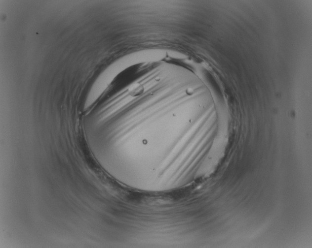 X0000078300597200612011836