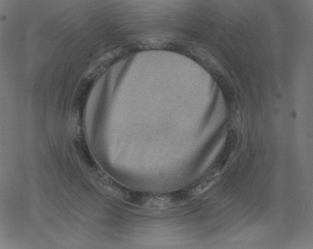 X0000078300599200612011836