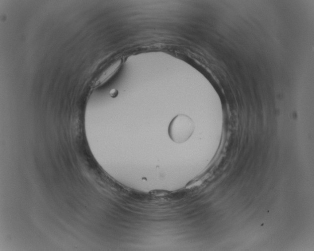 X0000078300600200612011836