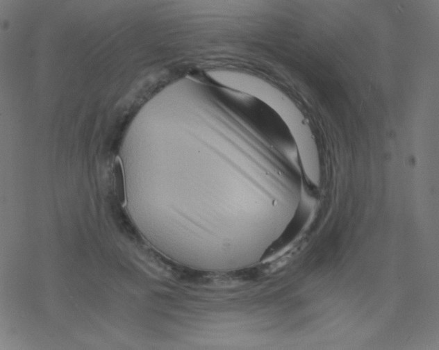 X0000078300601200612011836