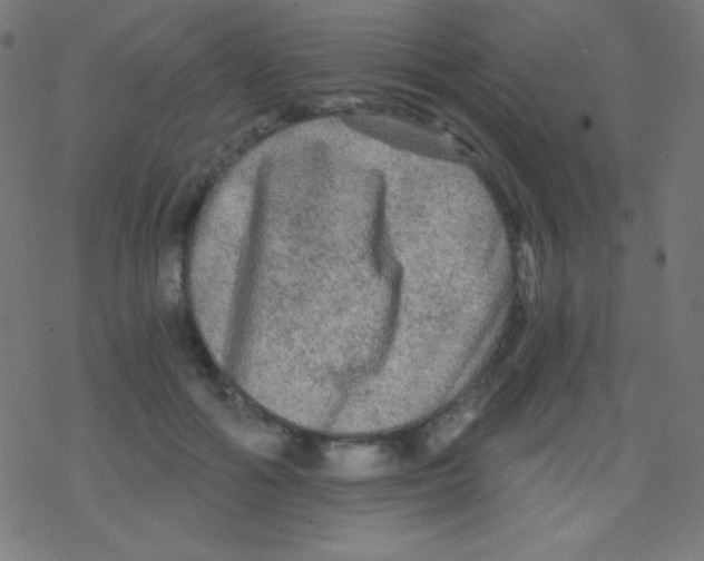 X0000078300602200612011836