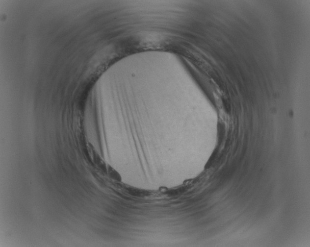 X0000078300603200612011836