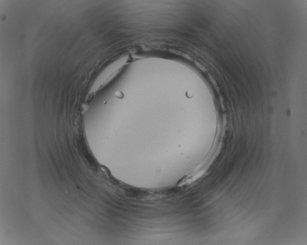 X0000078300604200612011836