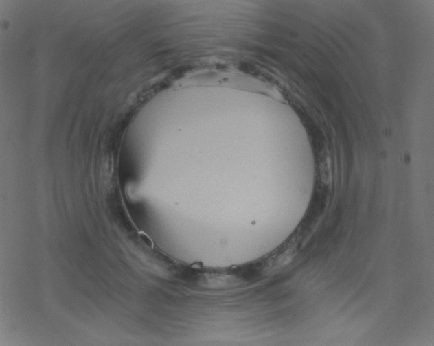 X0000078300605200612011836