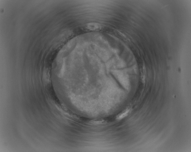 X0000078300606200612011836