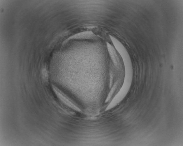 X0000078300609200612011836