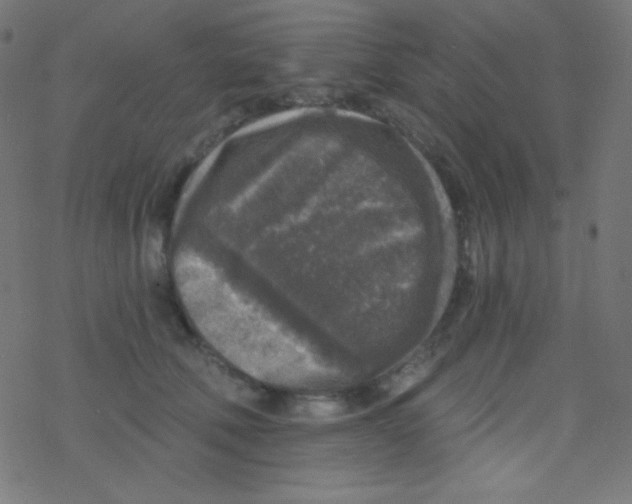 X0000078300610200612011836