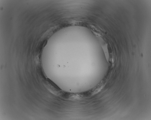 X0000078300611200612011836