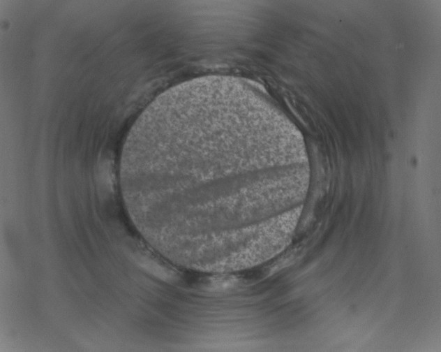 X0000078300612200612011836