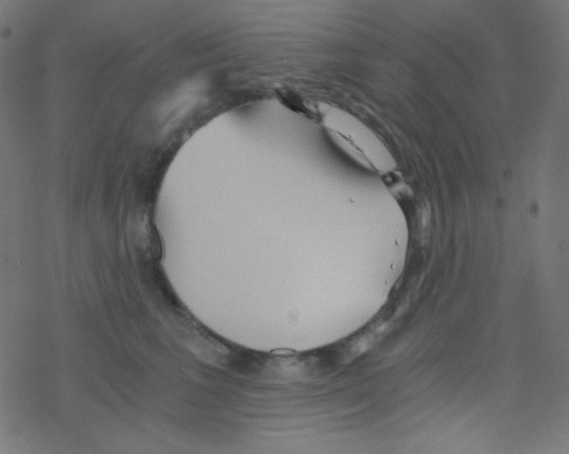 X0000078300613200612011836