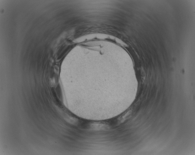 X0000078300614200612011836