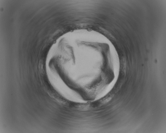 X0000078300615200612011836