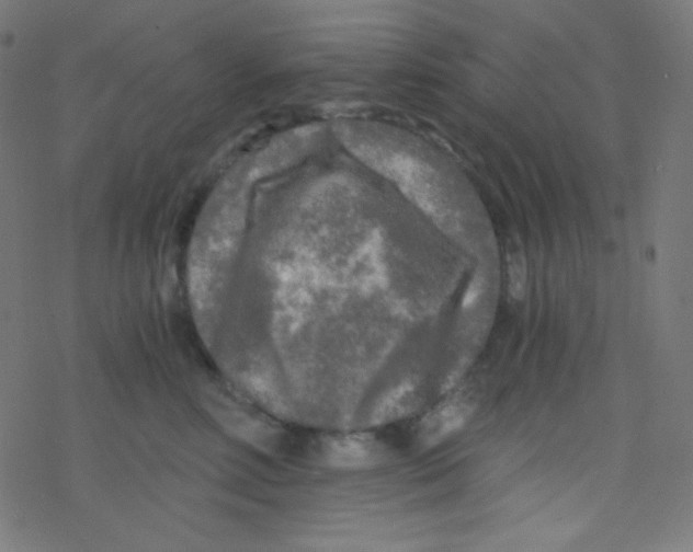 X0000078300618200612011836