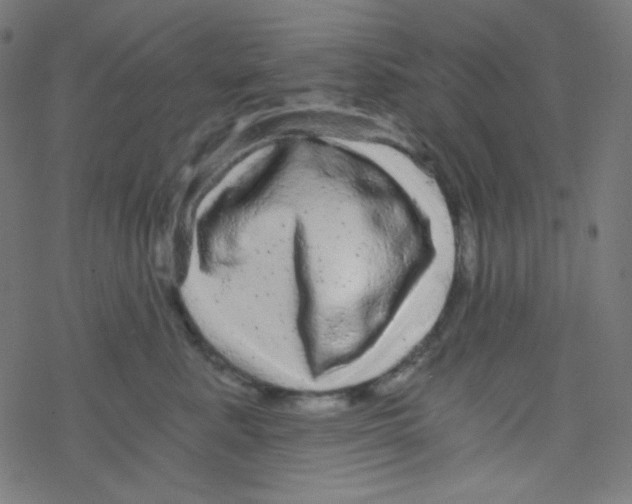 X0000078300619200612011836