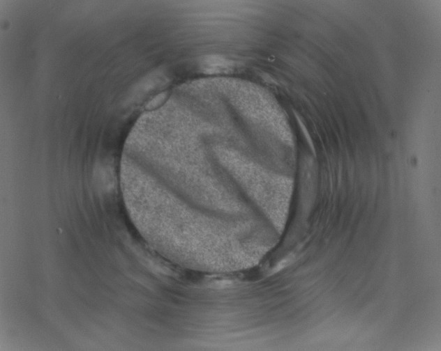 X0000078300620200612011836