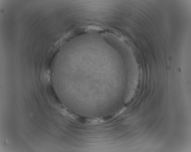 X0000078300621200612011836