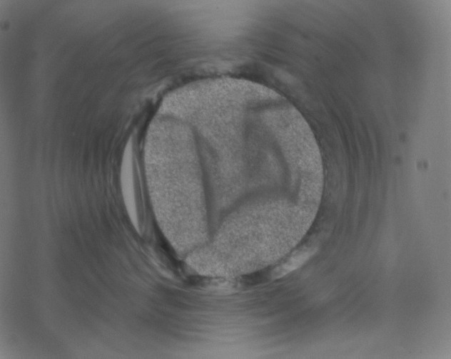 X0000078300624200612011836