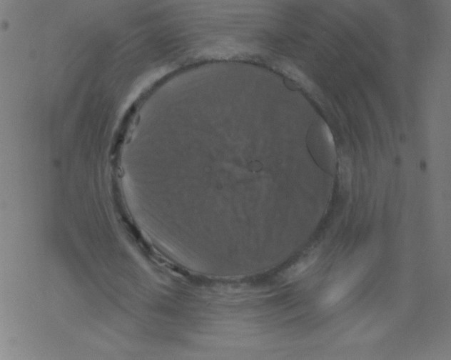 X0000078300626200612011835