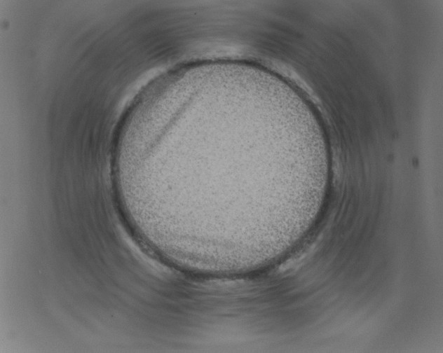 X0000078300629200612011835