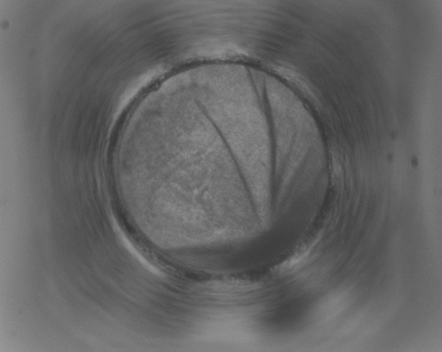 X0000078300630200612011835