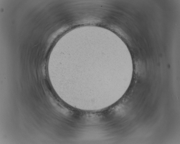 X0000078300632200612011835