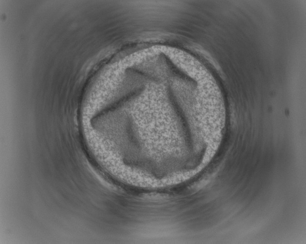 X0000078300633200612011835