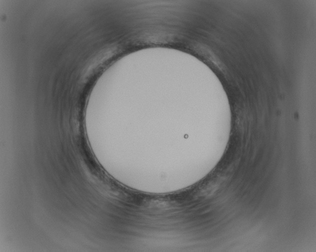 X0000078300635200612011835