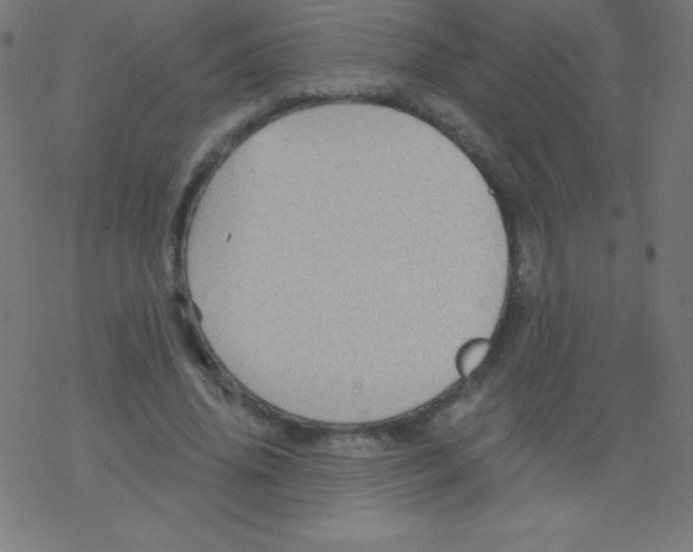 X0000078300636200612011835