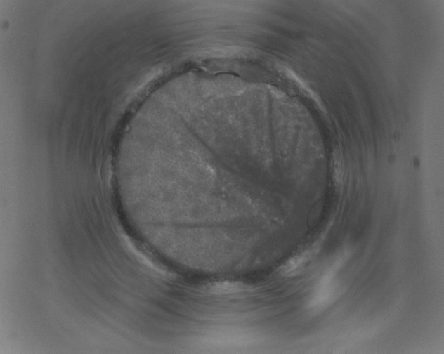 X0000078300637200612011835