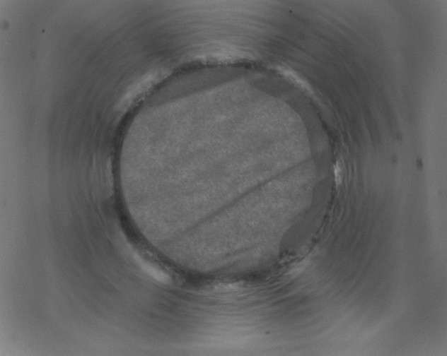 X0000078300638200612011835