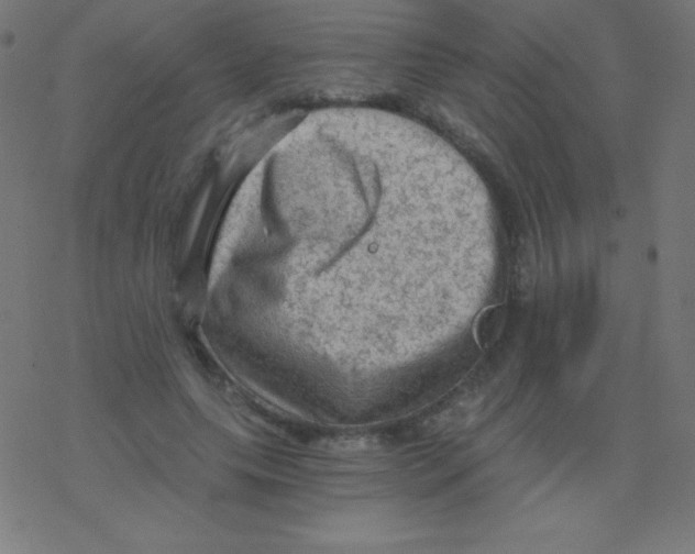 X0000078300639200612011835